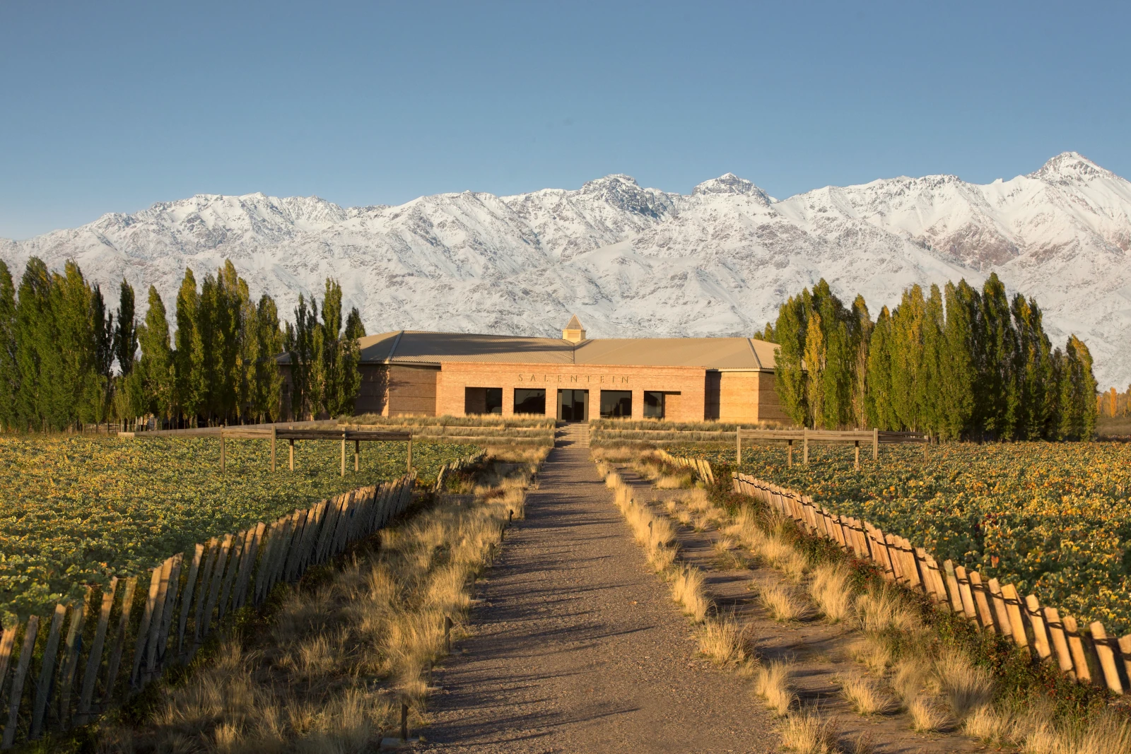 Salentein winery