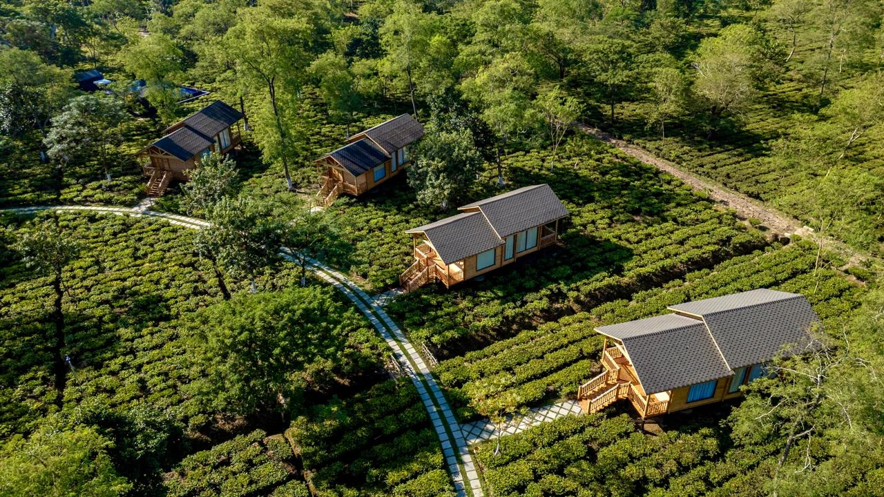 Postcard Hotel Durrung Tea Estate