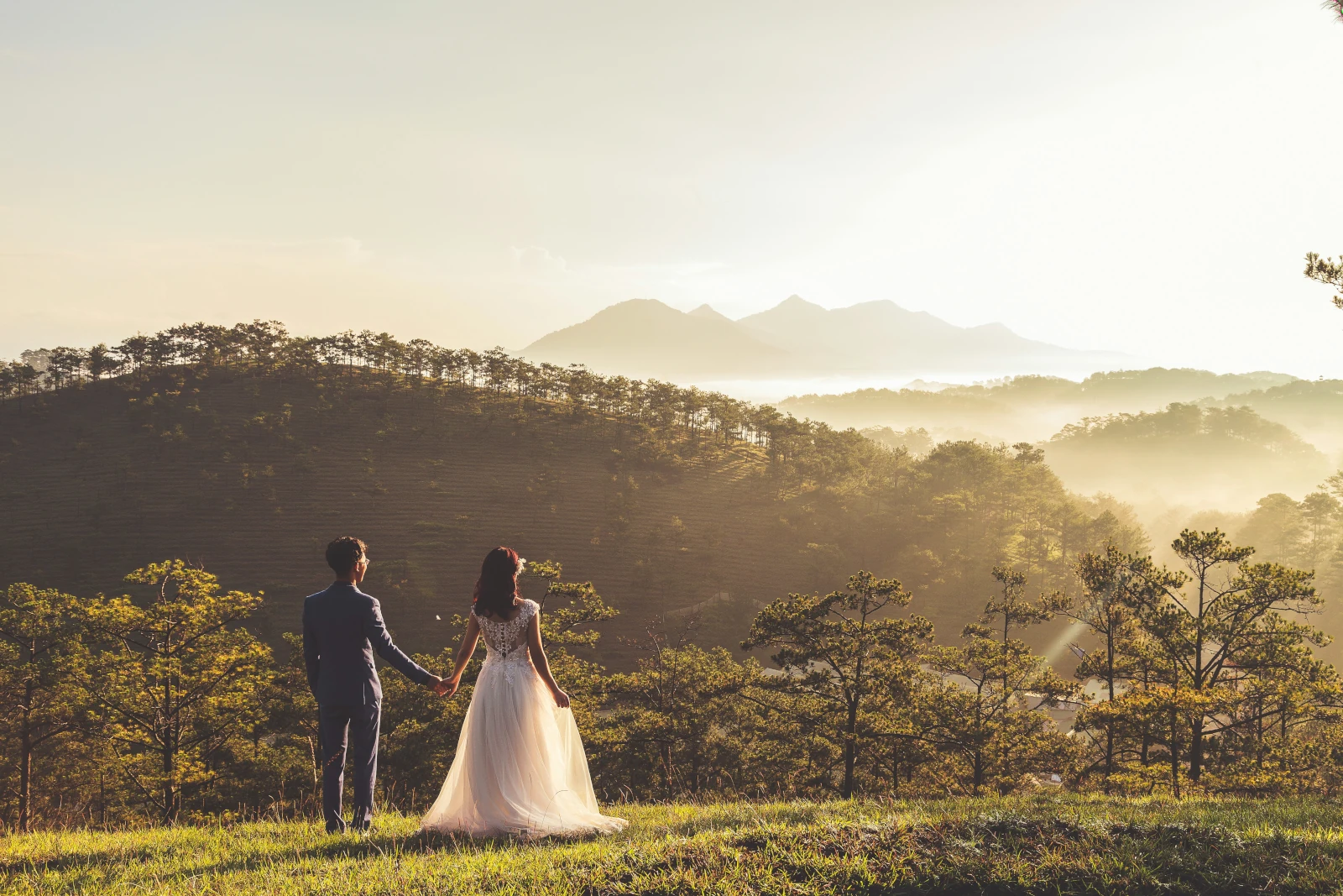 luxury wedding