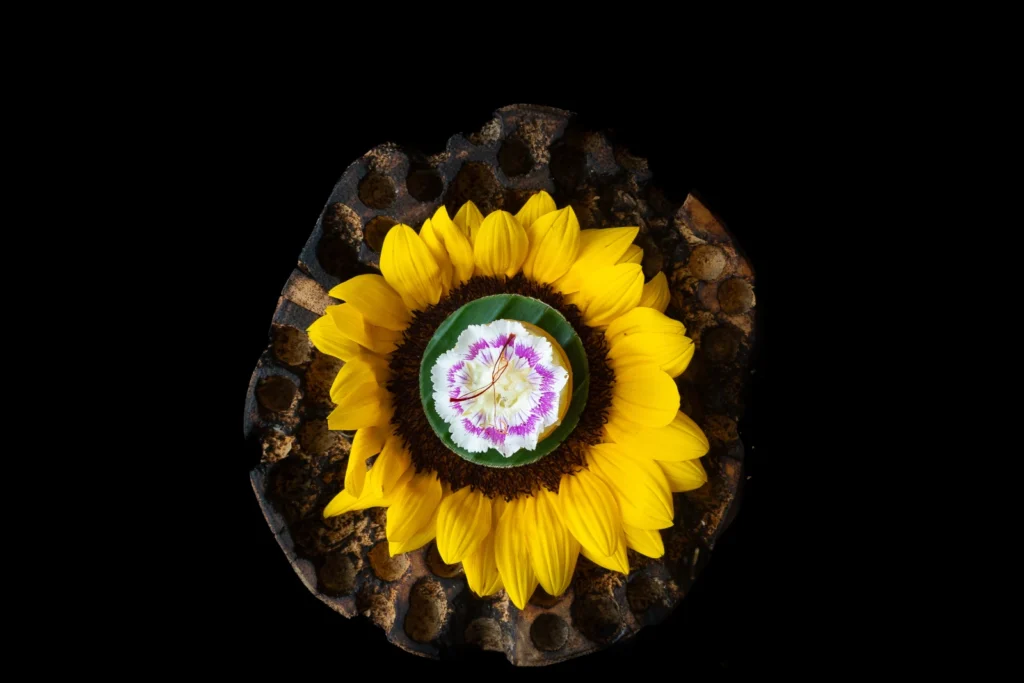 Fine Dining Goes Green – How Sustainability is Making a Deeper Impact on our Dinners 9 Avatara Mumbai