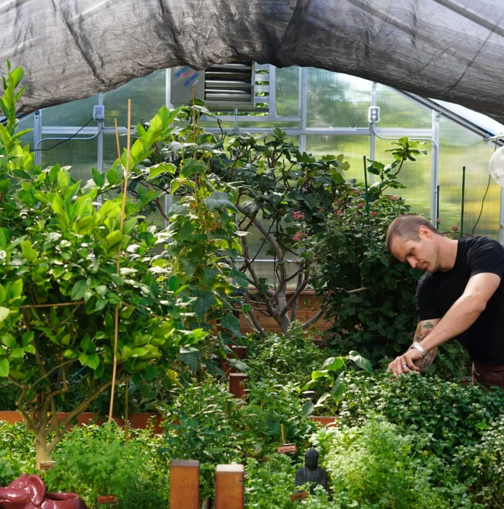 Fine Dining Goes Green – How Sustainability is Making a Deeper Impact on our Dinners 5 Eden Chicago greenhouse