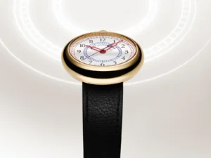 Louis Vuitton Monterey