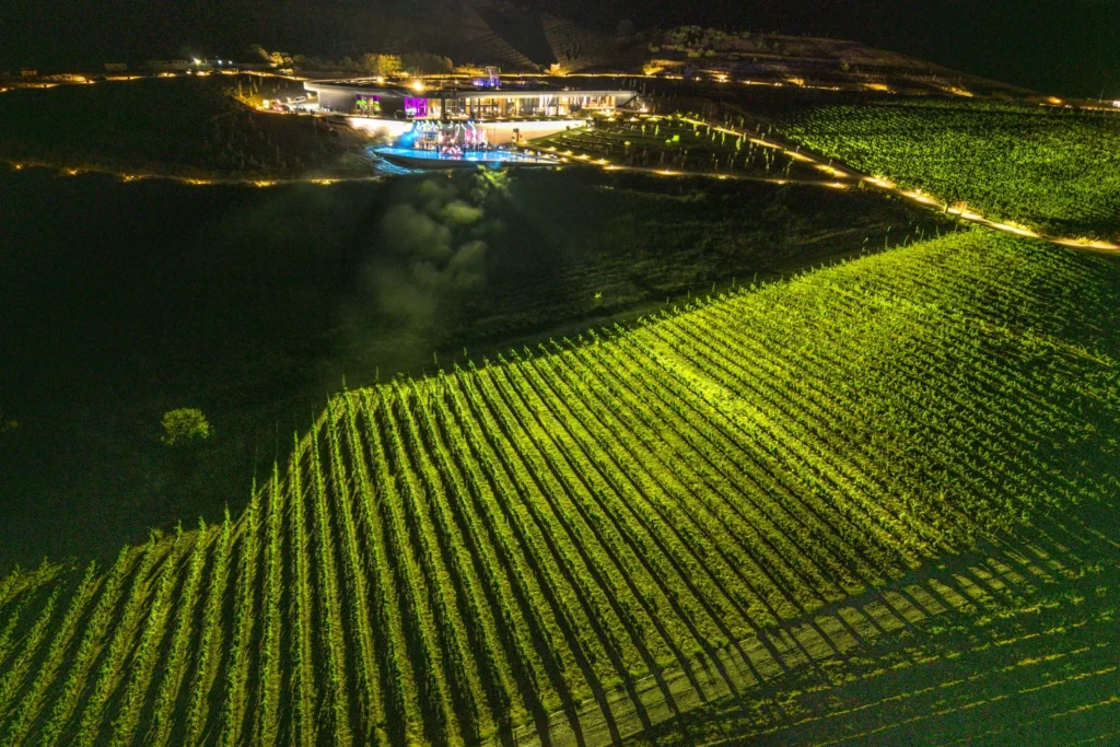 Aya Estate Vineyards 