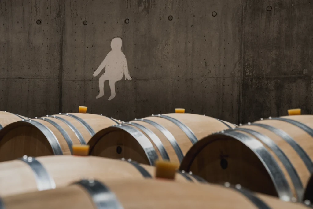 Aya Estate Vineyards 