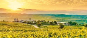 Zornitza Family Estate