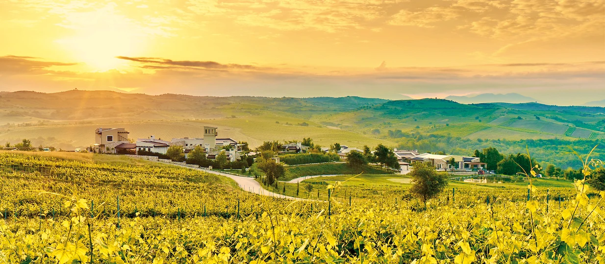 Zornitza Family Estate