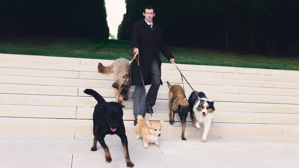 Louis Vuitton Pet Collection