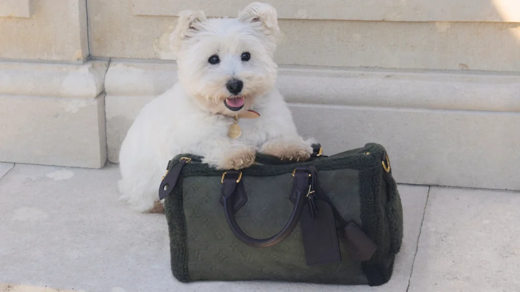 Pharrell Williams unleashes Louis Vuitton's luxury canvas onto canine territory with 2026 drop 2 Louis Vuitton Pet Collection
