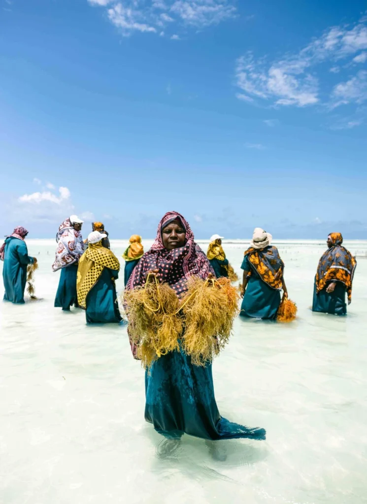 Between Trees & Tides, Discovering the Wild Heart of Zanzibar 6 Seaweed farmers Paje
