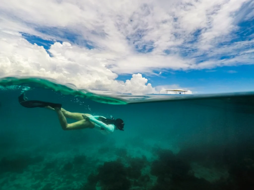 Between Trees & Tides, Discovering the Wild Heart of Zanzibar 5 Snorkelling in Zanzibar