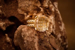 Ashth Udaya Collection