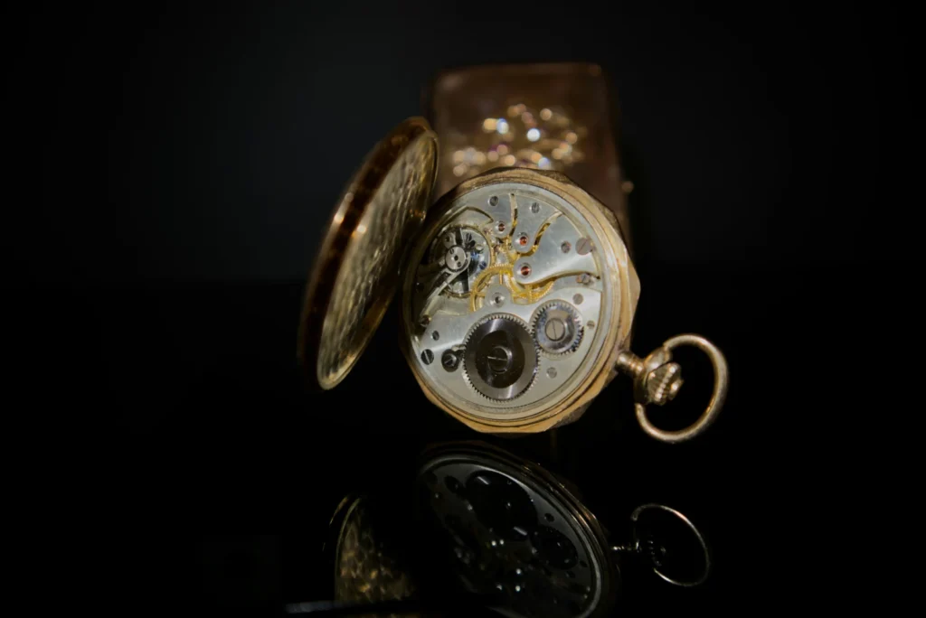luxury watch