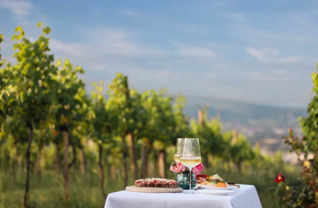 Winery Courtesy Anantara Palais Hansen Vienna