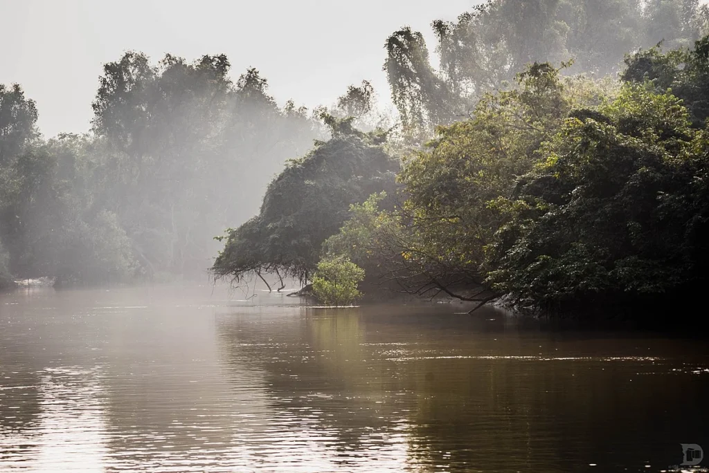 Bhitarkanika National Park Odisha