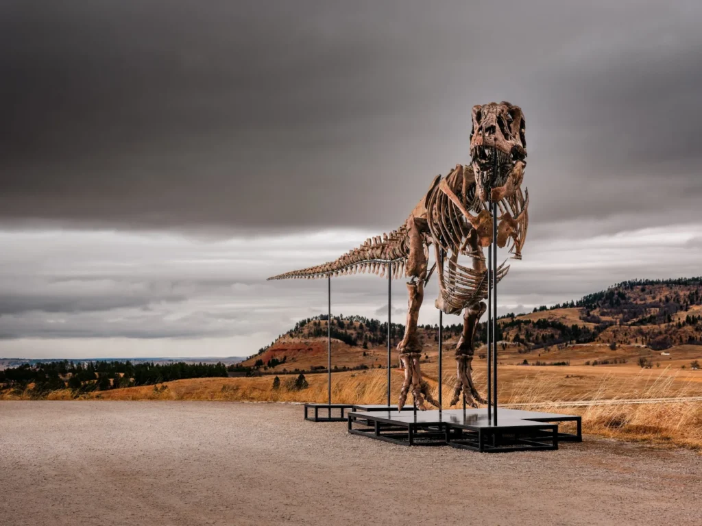 Gus Trex