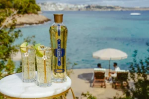 St-Germain Hugo Spritz