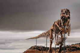 Gus Trex dinosaur