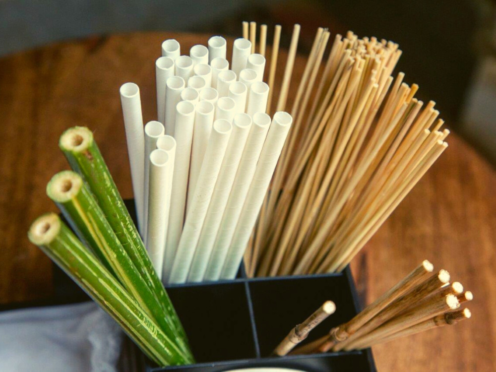 no plastic straws