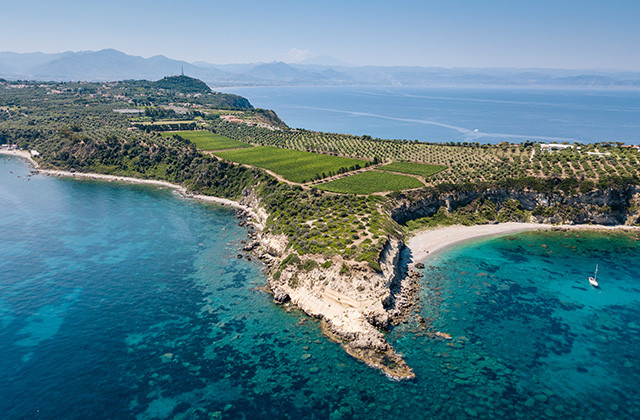 6 Rose Wines to Sip this Summer 3 The Planeta vineyard