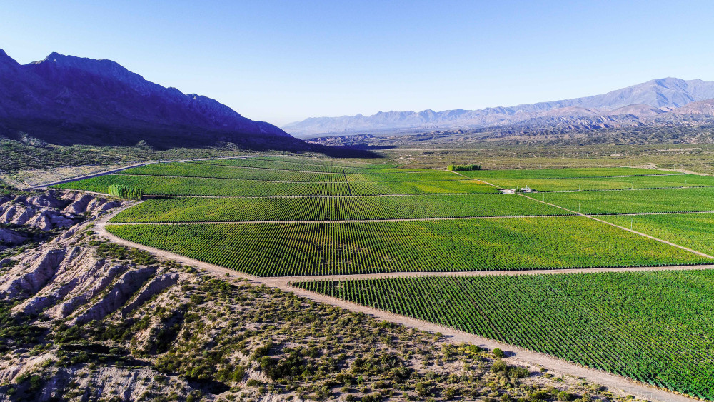 Pyros Winery